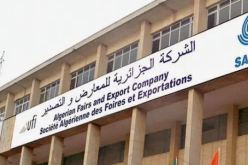 600 عارض في صالون الإنتاج الجزائري  ابتداء من الغد