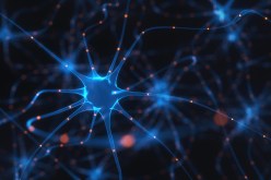 علماء ينتجون خلايا العين بطابعة ثلاثية الأبعاد