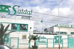 صيدال تكشف عن موعد بداية إنتاج الأنسولين