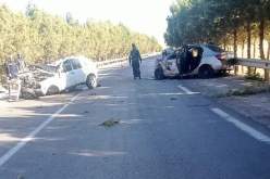 تيارت .. قتيلان و 4 جرحى في إصطدام بين سيارتين بفرندة