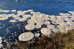 شاهد.. فطائر جليدية مذهلة تطفو على نهر في اسكتلندا