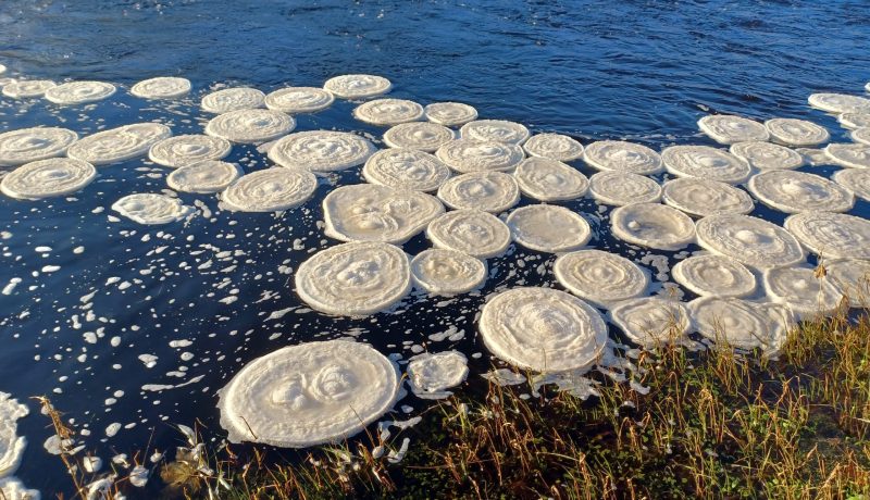 شاهد.. فطائر جليدية مذهلة تطفو على نهر في اسكتلندا