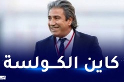 الكوكي: “الجزائر تملك الامكانيات اللازمة لتنظيم “الكان” لكن..”