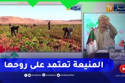 طالع هابط: المنيعة.. قادرة تولي جنة على 3 سنوات رغم غياب التنمية