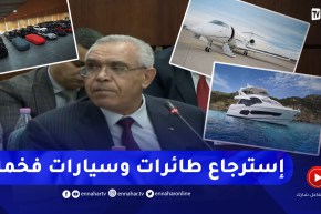 منها طائرات وسفن وسيارات فخمة وأحجار كريمة وعقارات .. هذه هي الممتلكات المنهوبة المسترجعة