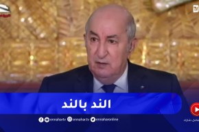 رئيس الجمهورية: العلاقات الجزائرية الفرنسية تكون النّد بالنّد ولن نسمح في جاليتنا هناك