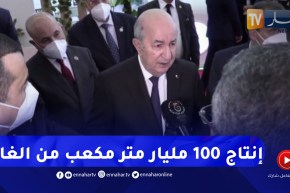 رئيس الجمهورية يدعو إلى إنتاج 100 مليار متر مكعب من الغاز يوجه للتصدير في سنة 2023
