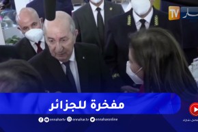 “رئيس الجمهورية :” إنتاج الأدوية والأنسولين في الجزائر مفخرة ويجب إعادة إحياء مجمّع صيدال