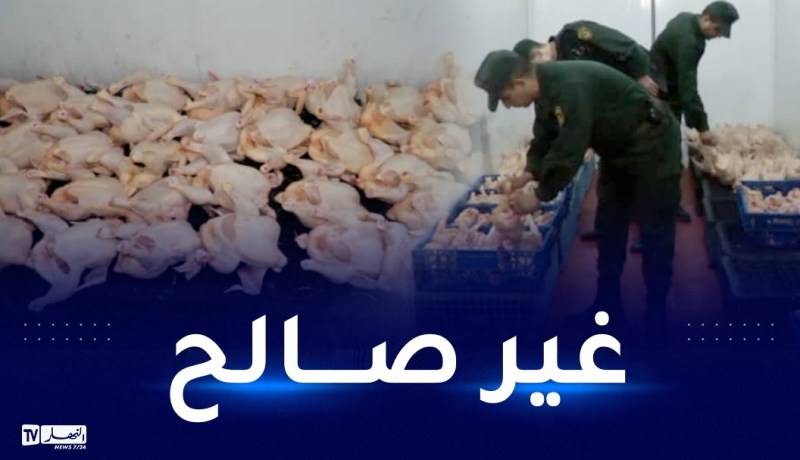 وهران: الدرك يداهم مذبحا سريا للدواجن بوادي تليلات