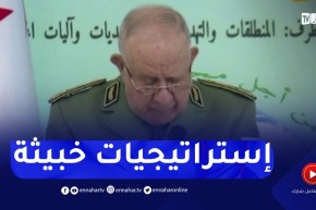 شنقريحة : بفضل رفض المواطنين للتطرف تمكنت الجزائر من إفشال الإستراتيجيات الخبيثة التي إستهدفت الدولة