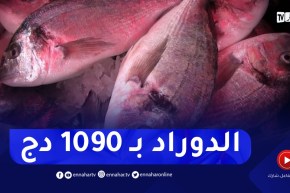 نقاط بيع للأسماك بأسعار مقننة .. المستهلك يختار بالطارف