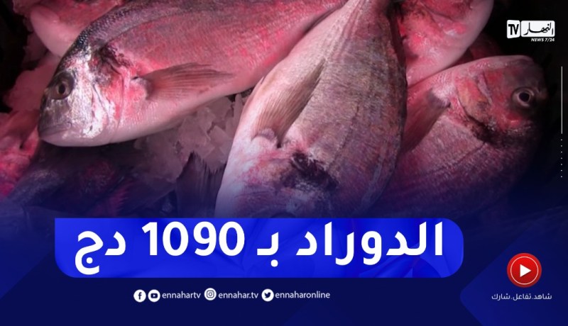 نقاط بيع للأسماك بأسعار مقننة .. المستهلك يختار بالطارف