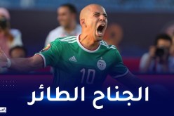 بالفيديو.. الكاف يستذكر فيغولي في هذه المناسبة