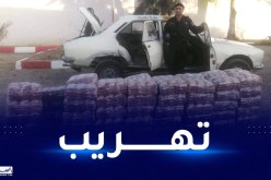 تبسة: الدرك يوقف شخص ويحجز 1200 كيس من العجائن