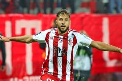 بالفيديو.. بلايلي يهز شباك أنجي ويرفع رصيده التهديفي