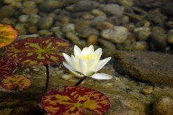  حين تهون الذمة على صاحبها بسبب المال