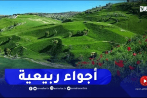 أجواء ربيعية على المناطق الشمالية للوطن