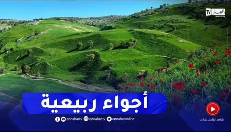 أجواء ربيعية على المناطق الشمالية للوطن