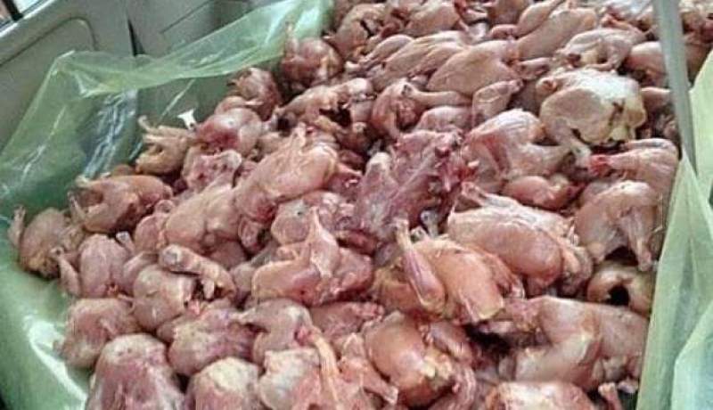 غليزان .. درك بني درقن يحجز قنطارين من اللحوم البيضاء وأحشاء دجاج فاسدة