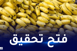 وزير التجارة: حجز 897 طن من الموز.. وهذا سبب ارتفاع سعره