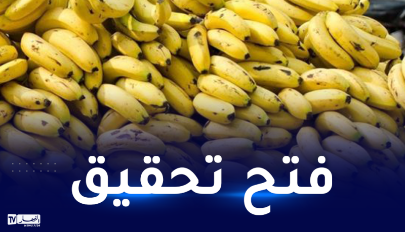 وزير التجارة: حجز 897 طن من الموز.. وهذا سبب ارتفاع سعره