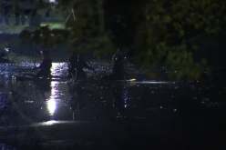 أثناء محاولة إنقاذ أحدهم.. وفاة 3 أطفال متجمدين داخل النهر في بريطانيا