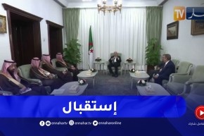 رئيس الجمهورية عبد المجيد تبون يستقبل وزير الداخلية السعودي