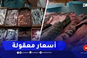 لسد الطريق أمام المضاربين.. أسعار معقولة وتنافسية للأسماك