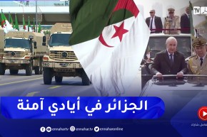 الحصاد الأمني: جهود عسكرية وأمنية .. 2022 سنة التحديات