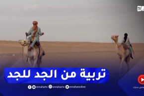 تربية الإبل..النشاط الأكثر رواجا لدى سكان الجنوب