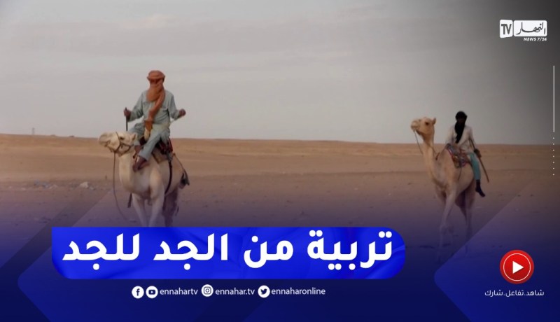 تربية الإبل..النشاط الأكثر رواجا لدى سكان الجنوب