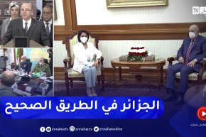 سنة 2022:  مواصلة الإصلاح التشريعي والمؤسساتي .. وأحزاب مع موعد لتجديد القيادات