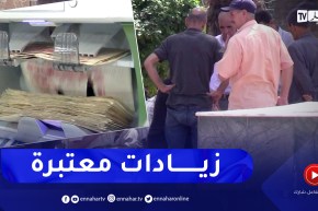 زيادات في الأجور يقرها رئيس الجمهورية .. هذه بعض تفاصيل كيفية الزيادة