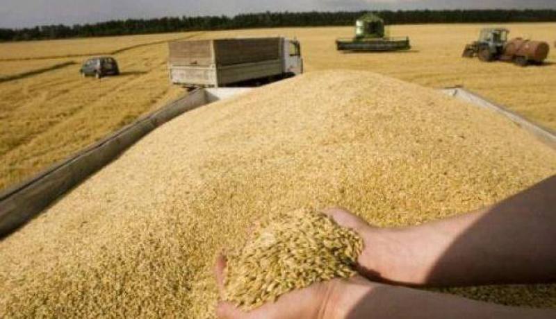 ايداع مدير تعاونية الحبوب بالمسيلة و8 إطارات رهن الحبس