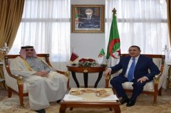 قطر تمول مشروع إنجاز مصلحة الأمومة والطفولة في البيض