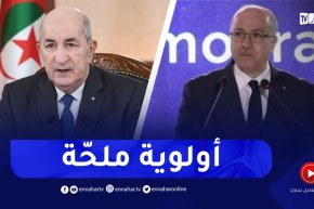 رئيس الجمهورية : التوجه نحو ريادة الأعمال المرتكزة على الإبتكار أولوية ملحّة لمعالجة إشكالية التشغيل