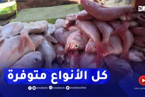 سوق السمك بموريتانيا..قناة النهار في زواياه وتكشف خفاياه