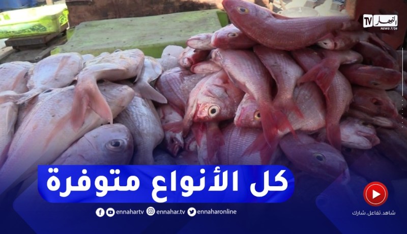 سوق السمك بموريتانيا..قناة النهار في زواياه وتكشف خفاياه