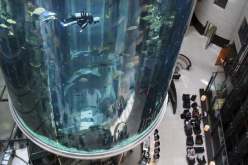 بالفيديو.. انفجار أكبر حوض أسماك في العالم ووقوع إصابات