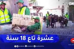 مجتمع: محمد وبشير .. قصة صداقة وإخلاص في مهنة التنظيف بالقصبة