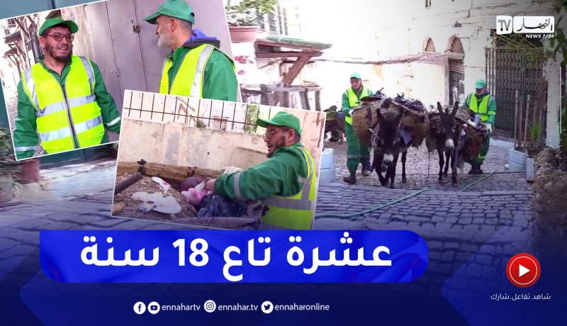 مجتمع: محمد وبشير .. قصة صداقة وإخلاص في مهنة التنظيف بالقصبة