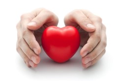 إكتشاف بروتين يحافظ على خلايا القلب من الشيخوخة