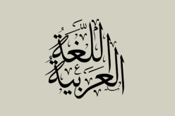 اللغة العربية.. هذه منجزات الجزائر