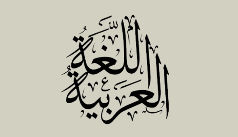 اللغة العربية.. هذه منجزات الجزائر