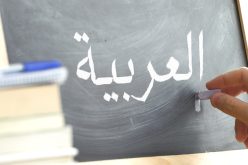 اللغة العربية حاليا.. الأولى في 12 دولة والسادسة في الأمم المتحدة