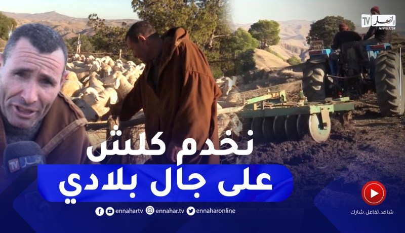 رابح يتحدى الظروف الصعبة وينجح في إنتاج مختلف المنتجات الفلاحية بتيسمسيلت