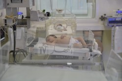 الوزير الأول: الجزائر تسجل أكثر من مليون مولود سنويا