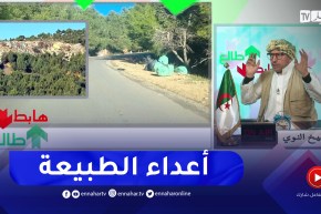 طالع هابط:  كارثة بيئية و نفايات بكثرة وسط غابات حطاطبة بتيبازة .. من المسؤول