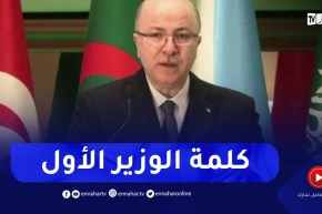 الوزير الأول: شبكة المؤسسات التكوينية تستقبل أكثر من نصف مليون متربص في أكثر من 23 شعبة