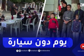 يوم دون سيارة..مبادرة للترفيه عن العائلات في العطلة المدرسية